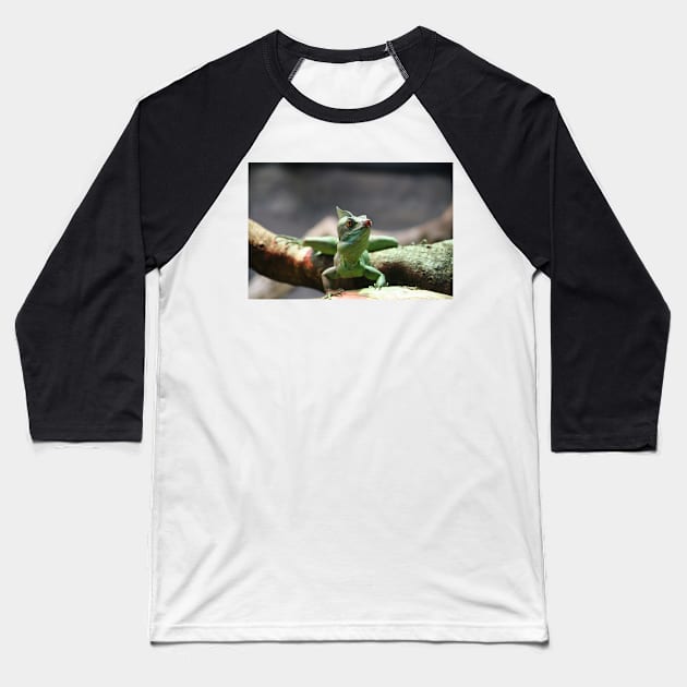 Double-Crested Basilisk Baseball T-Shirt by LeanneAllen